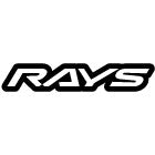 Rays Logo - EliteRaceFab