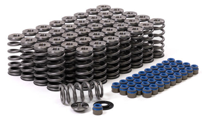 GSC P-D Audi R8 V10 / Lamborghini Huracan V10 5.2L Valve Spring & Ti Retainer Kit (w/Seats & Seals)